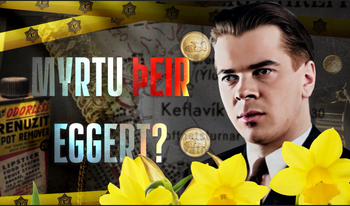 Abdelsalam Mohamed Ramadan from Tripoli – ,,Repeated fraud and theft against a number of companies and individuals“