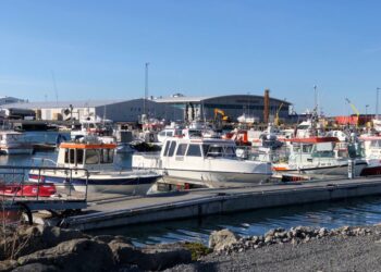 Ríkið afli tekna og auki velferð