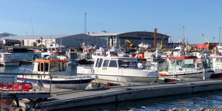 Ríkið afli tekna og auki velferð