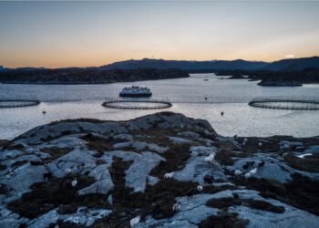 Ríkið afli tekna og auki velferð