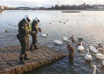 Snjóaði hressilega sunnan- og suðvestanlands
