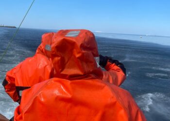 Foreldraofbeldi í íþróttum og vanhæfni viðbragðsaðila