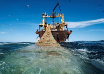 Snjóaði hressilega sunnan- og suðvestanlands