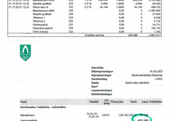 Gætuð þið lifað af á þessum launum? – Launaseðill sýnir útborguð laun