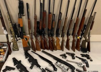 Allt að 40% sögðust hafa aðgang að skotvopnum