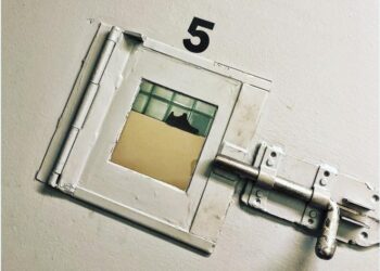 Netsvindl, fjárkúgun og fleira