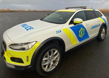 Netsvindl, fjárkúgun og fleira