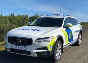 Netsvindl, fjárkúgun og fleira