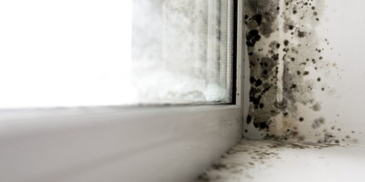 Er mygla í húsnæði vandamál hérlendis?