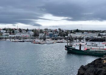 ,,Vantar bát til að fremja lögbrot gegn kvótakerfinu“