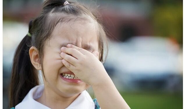 Foreldrar sem lenda í foreldraútilokun þekkja vel hvernig kerfið bregst