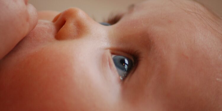 Fiskeldi að Laxamýri við Húsavík