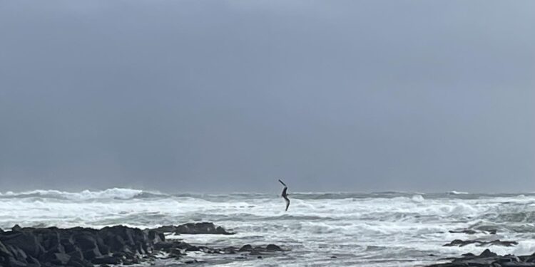 Gul viðvörun vegna veðurs