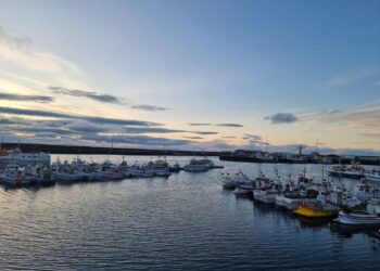 Kvótakerfið er ólöglegt – Stefna matvælaráðherra og ríkisstjórninni