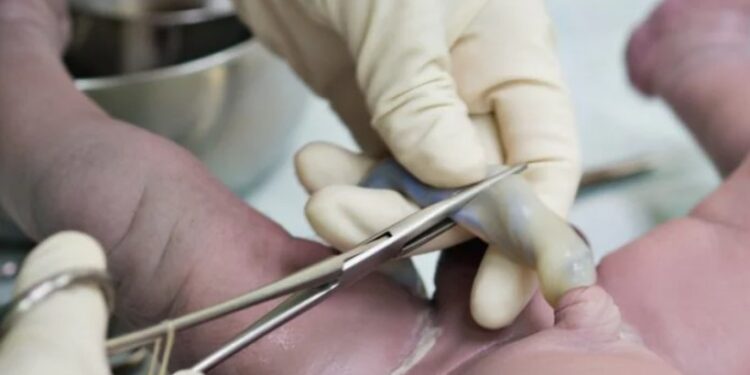 Móðir losaði sig við fertug „börn“ sín af heimilinu með dómi