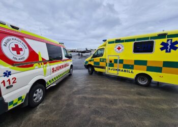 Kortisólskortur drepur – sterar bæla kortisól, segir Helga Ágústa innkirtlalæknir