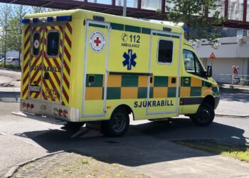 Þingmaður Pírata handtekinn