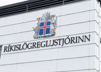 Einkahlutafélög, skattsvik og reiðufjársviðskipti