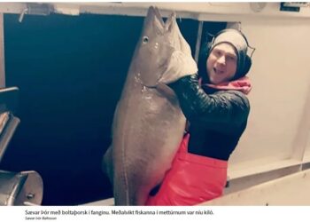 Ævintýraleg þorskveiði hjá línubátum