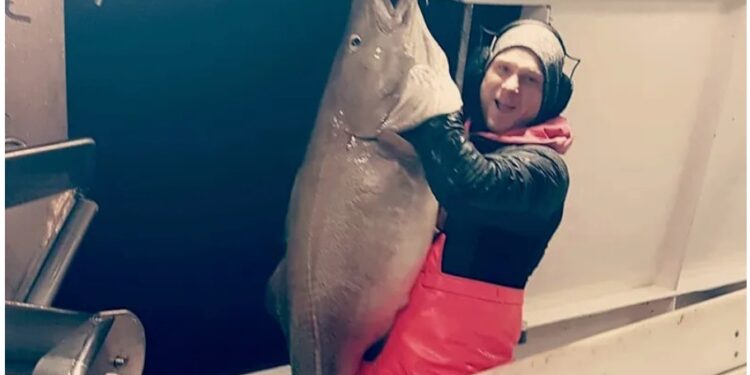 Ævintýraleg þorskveiði hjá línubátum