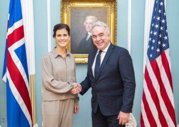 Stuðningur við Úkraínu efst á dagskrá á fundi með varautanríkisráðherra Bandaríkjanna