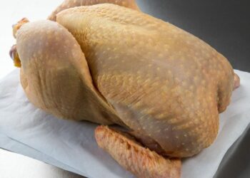 Salmonella í kjúklingi