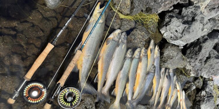 Góð veiði í Hlíðarvatni í Selvogi