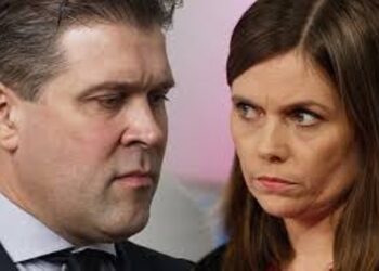 Bjarni bankster og Kató krimmi