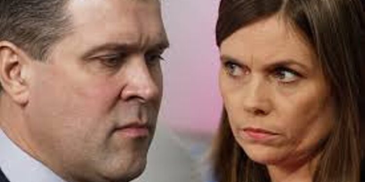 Bjarni bankster og Kató krimmi