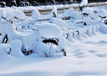 Fyrirtæki skyldug að hafa eftirlit með kolefnislosun starfsmanna til og frá vinnustað