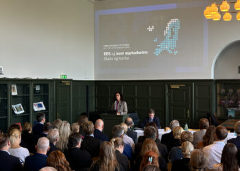 Mikilvægt að auka pólitíska umræðu um EES-samstarfið