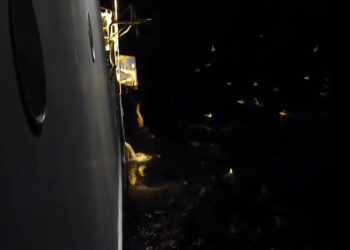 Skipstjórar eru hræddir við kvótakónga og henda fiski í sjóinn – MYNDBAND