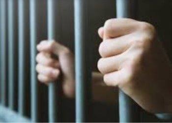 Réðst á lögreglumenn og fangavörð