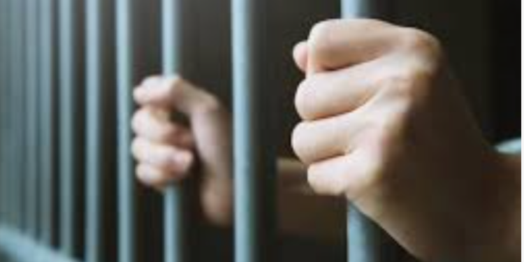 Réðst á lögreglumenn og fangavörð