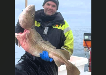 Hvernig er hægt að erfa eitthvað sem syndir frjálst i sjónum?