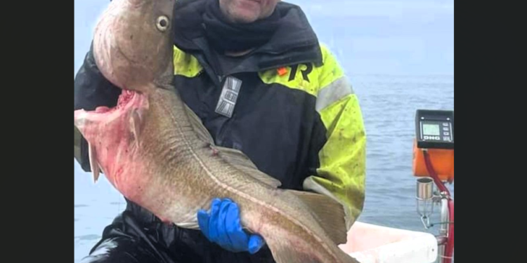 Hvernig er hægt að erfa eitthvað sem syndir frjálst i sjónum?