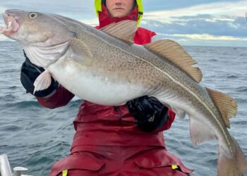Góðærið svokallaða lét aldrei sjá sig á landsbyggðinni