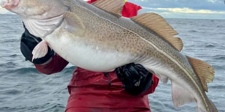 Góðærið svokallaða lét aldrei sjá sig á landsbyggðinni