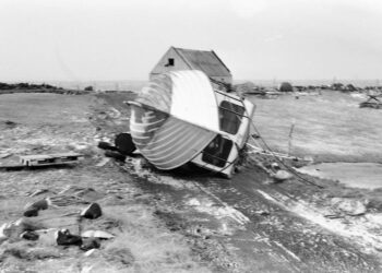 Fáum við ekki atvinnufrelsi og mannréttindi?