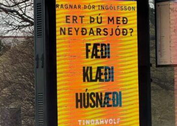 Slíkan neyðarsjóð þyrftu þeir sem lægstu laun og bætur hafa og skrimta