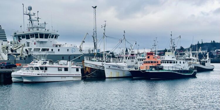 94% almennings telur útgerðarfélög á Íslandi geti greitt hærri veiðigjöld