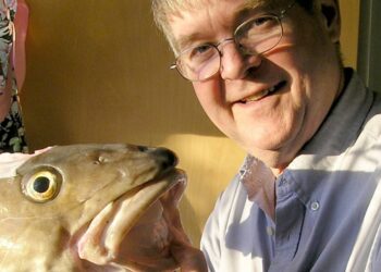 Kvótakerfið er ónýtt – Fiskifræðingur vill leggja það niður