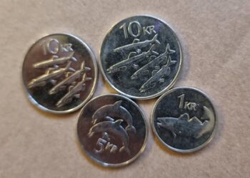 Leigja frá sér á 500.000 kr. en greiða sjálfir 26.000 kr.