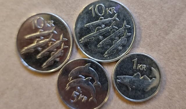 Leigja frá sér á 500.000 kr. en greiða sjálfir 26.000 kr.