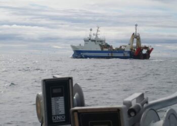 Togarar á strandveiðum