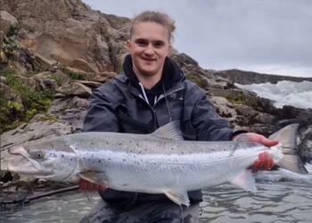 Tólf laxar á fyrsta degi í Urriðafossi