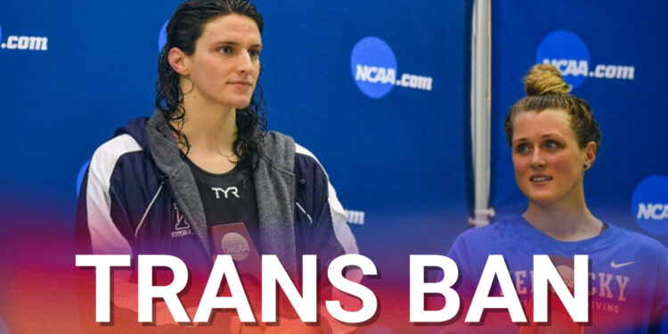 Transvirkin falla eitt af öðru …