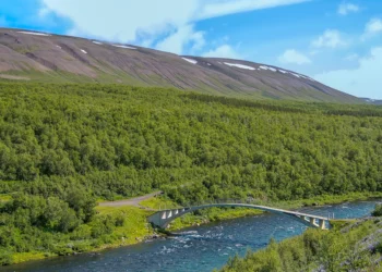 7000 manna samkoma í skógi