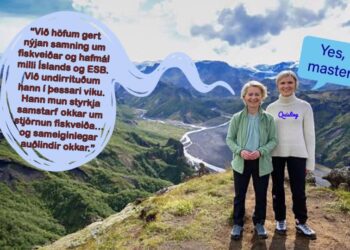 ÍSLANDI 21. ALDAR ER TELFT Í TVÍSÝNU