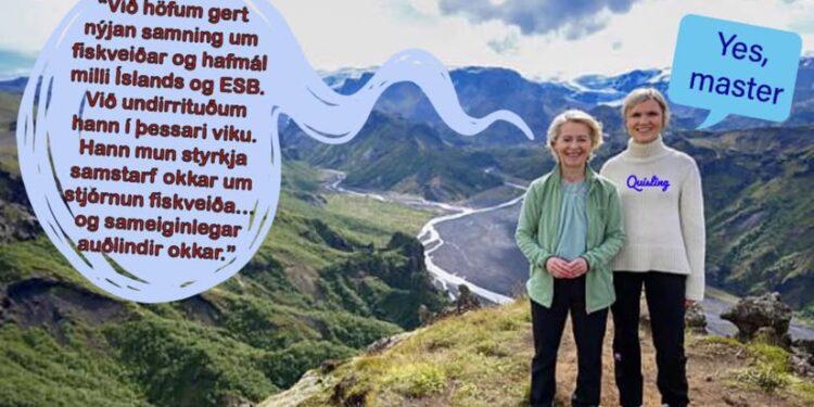 ÍSLANDI 21. ALDAR ER TELFT Í TVÍSÝNU